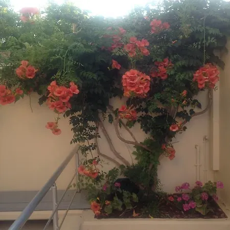 Apartament Anna Agia Marina